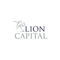 ddo_lion_capital